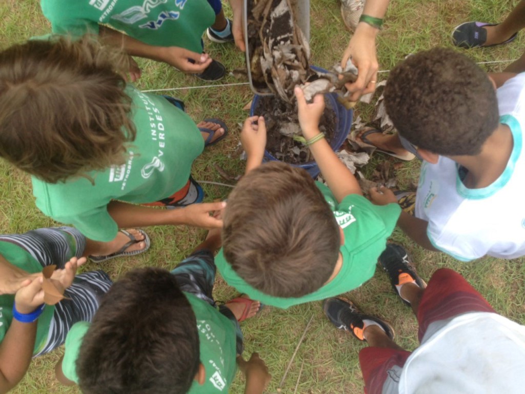 Projeto Estufa Horta Comunitária e Agricultura Orgânica na Vila Sahy