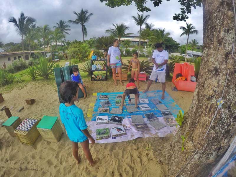 Ação de Verão na APA Baleia Sahy - Praia da Baleia - ICC