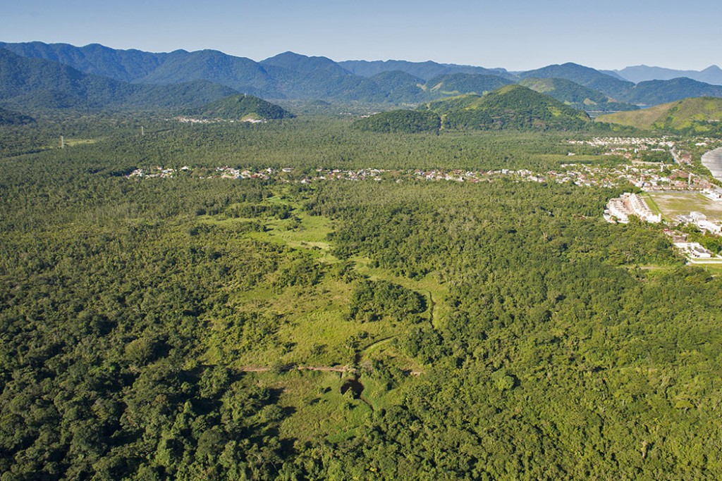 Icc No Conselho Consultivo Do Parque Estadual Da Serra Do Mar