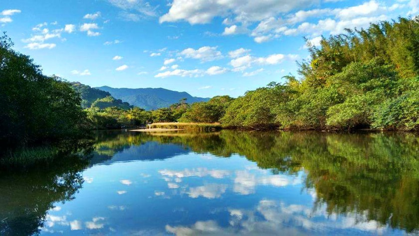 Dica de Verão - Passeio de barco pela APA Baleia Sahy e Ilhas da região