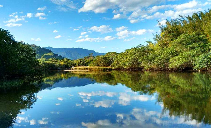 Dica de Verão - Passeio de barco pela APA Baleia Sahy e Ilhas da região