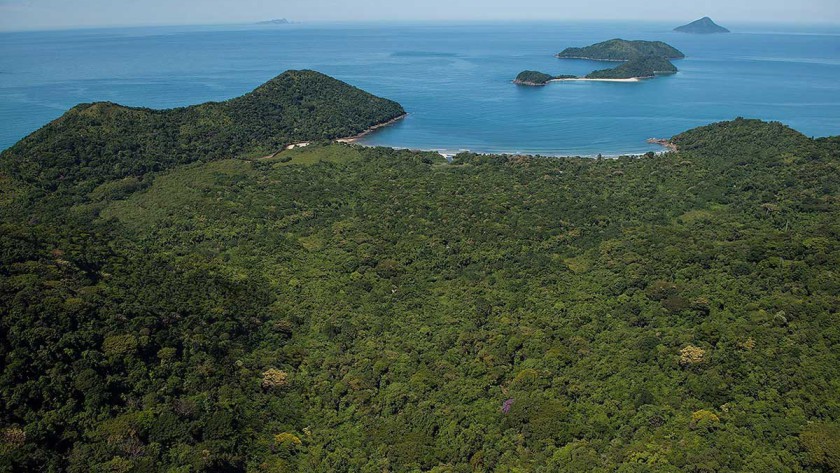 Reunião discutiu participação do ICC em conselhos e monitoramento do Litoral Norte