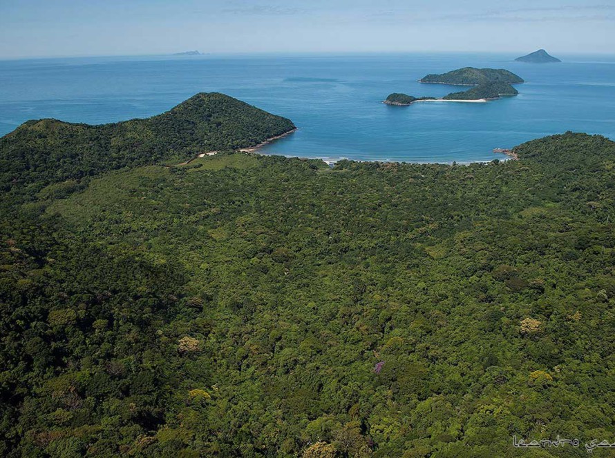 Reunião discutiu participação do ICC em conselhos e monitoramento do Litoral Norte