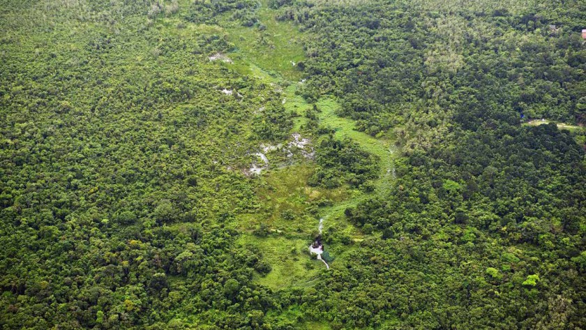 APA Baleia Sahy segue intacta segundo monitoramento aéreo