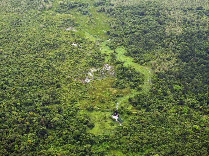 APA Baleia Sahy segue intacta segundo monitoramento aéreo