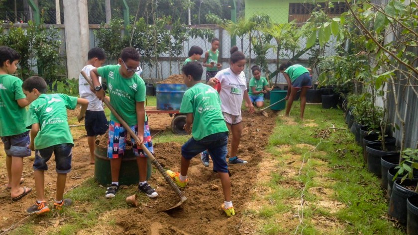 Projeto Estufa Horta Comunitária e Agricultura Orgânica na Vila Sahy