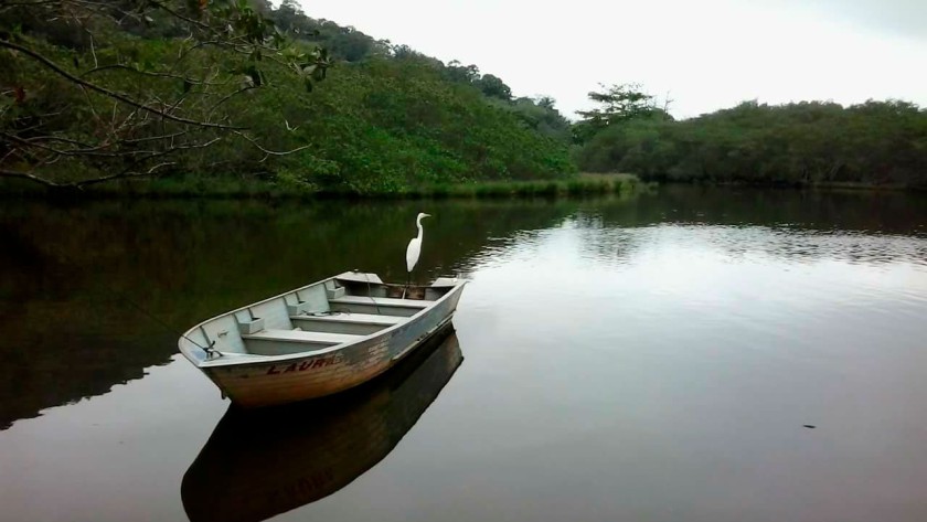 Rio Sahy passa por nova limpeza