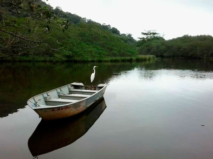 Rio Sahy passa por nova limpeza