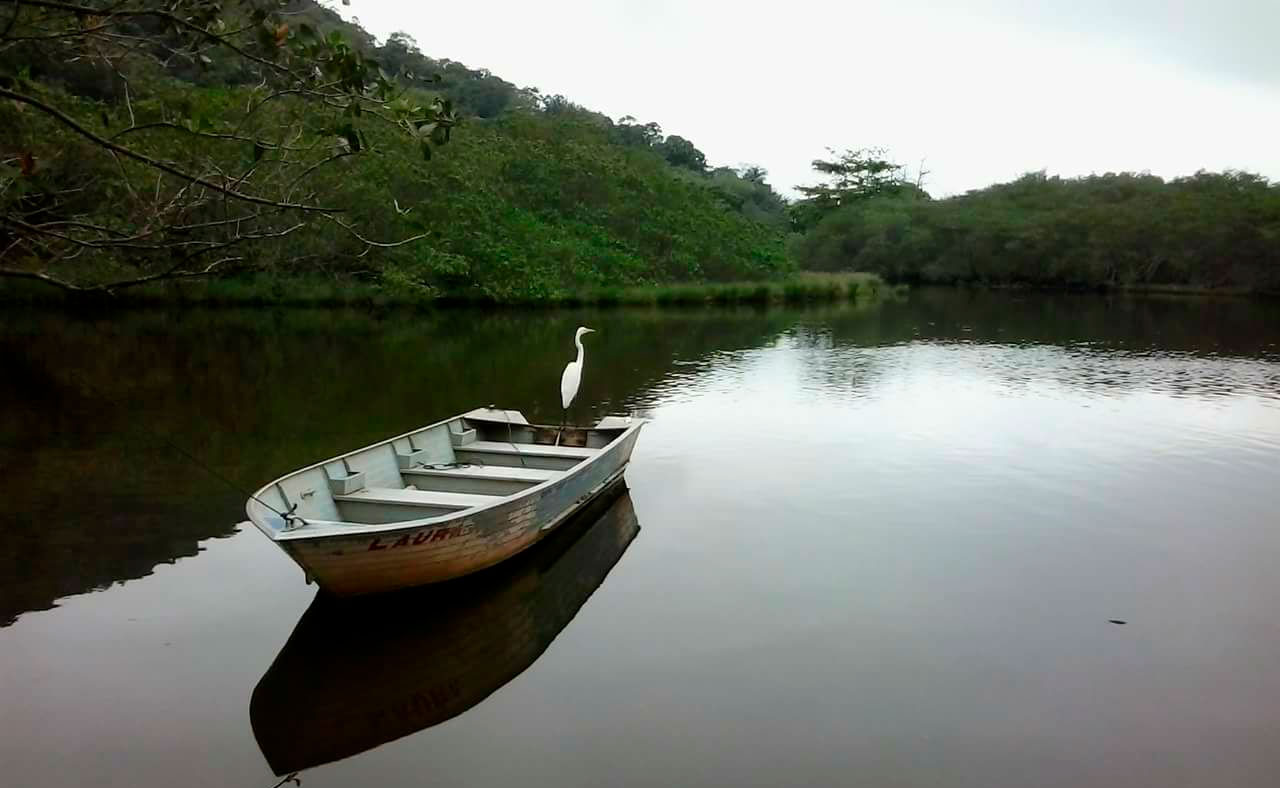 Rio Sahy passa por nova limpeza