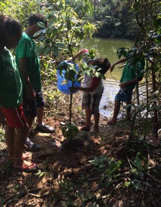 APA Baleia Sahy é oficina laboratório de recomposição florestal a céu aberto