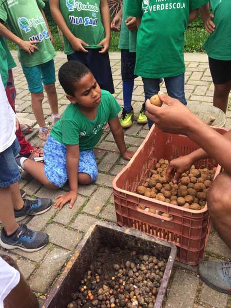 APA Baleia Sahy é oficina laboratório de recomposição florestal a céu aberto