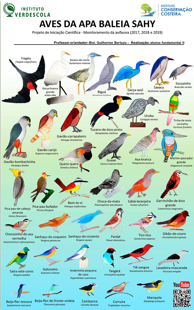 Guia da Aves da APA Baleia Sahy - ICC e Verdescola