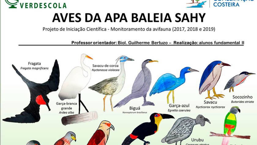 Guia da Aves da APA Baleia Sahy - ICC e Verdescola