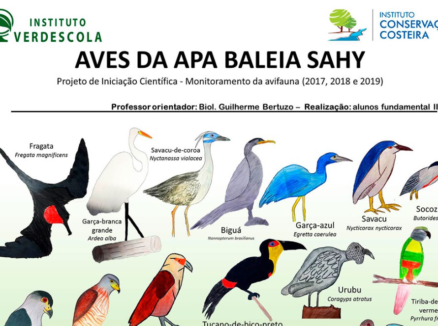 Guia da Aves da APA Baleia Sahy - ICC e Verdescola