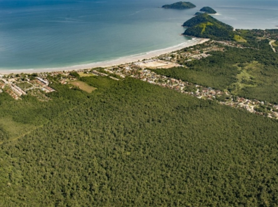 Pequena ONG, praia da Baleia e um empresário/político