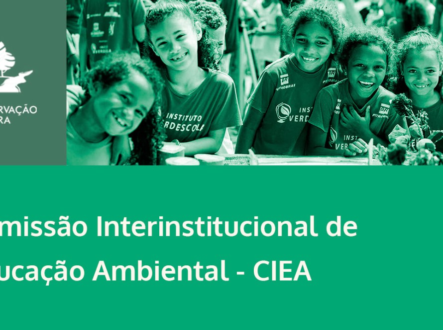 Comissão Interinstitucional de Educação Ambiental - CIEA - ICC