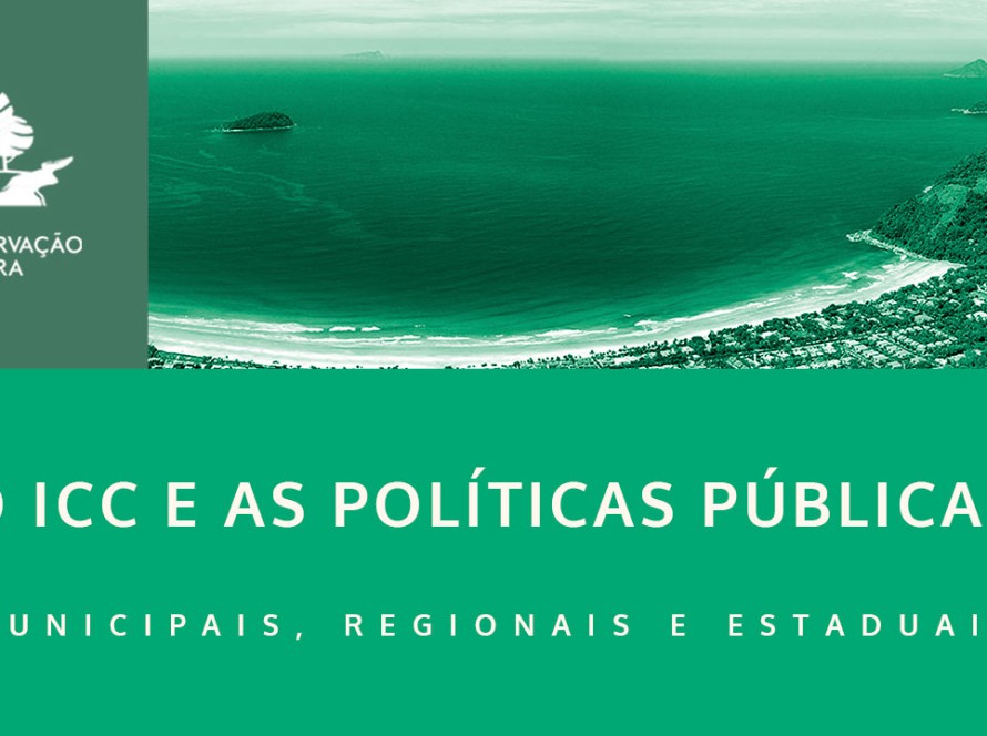 Entenda a atuação do ICC em Políticas Públicas municipais, regionais e estaduais