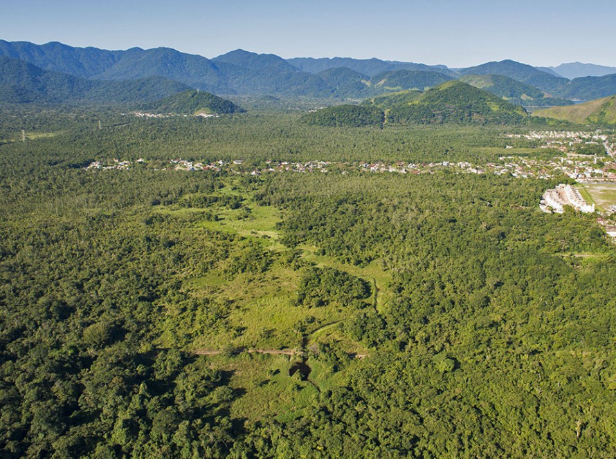 ICC como membro titular no Conselho Consultivo do Parque Estadual da Serra do Mar - Núcleo São Sebastião (PESM-NSS)