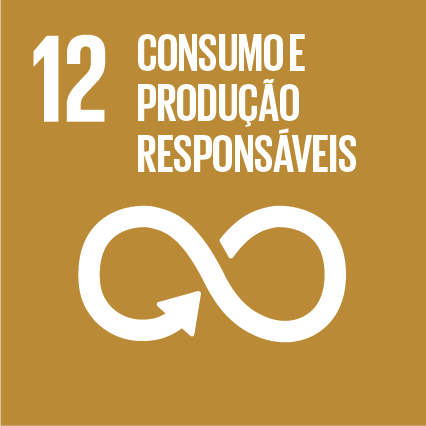 ODS 12 - Consumo e produção responsáveis - Objetivos do Desenvolvimento Sustentável da ONU - Instituto Conservação Costeira