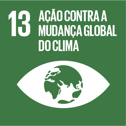 ODS 13 - Ação contra mudança global do clima - Objetivos do Desenvolvimento Sustentável da ONU - Instituto Conservação Costeira