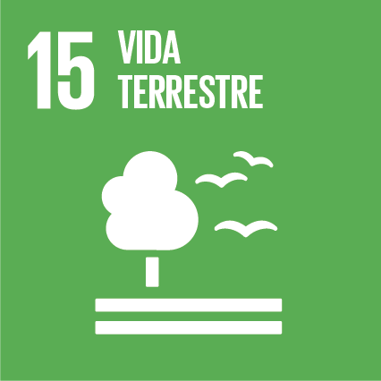 ODS 15 - Vida terrestre - Objetivos do Desenvolvimento Sustentável da ONU - Instituto Conservação Costeira