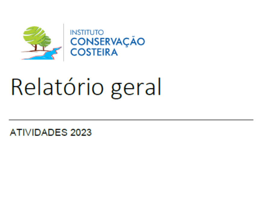 Relatório de Atividades ICC - 2023