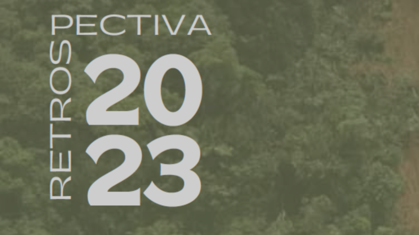 Retrospectiva 2023 - Tragédia Socioambiental de São Sebastião - ICC