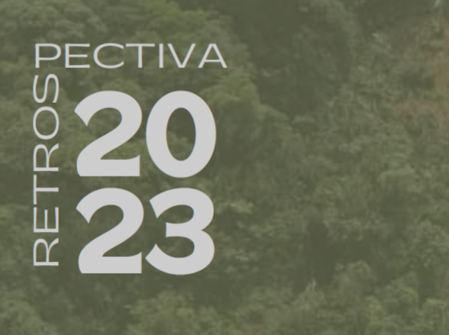 Retrospectiva 2023 - Tragédia Socioambiental de São Sebastião - ICC