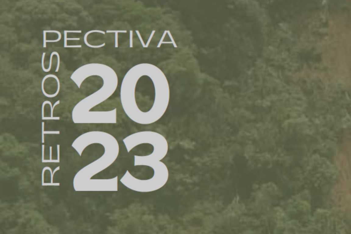 Retrospectiva 2023 - Tragédia Socioambiental de São Sebastião - ICC