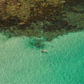 Monitoramento da balneabilidade de água da APA Baleia Sahy