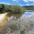 Análise de água do Rio Sahy (17/12/24)