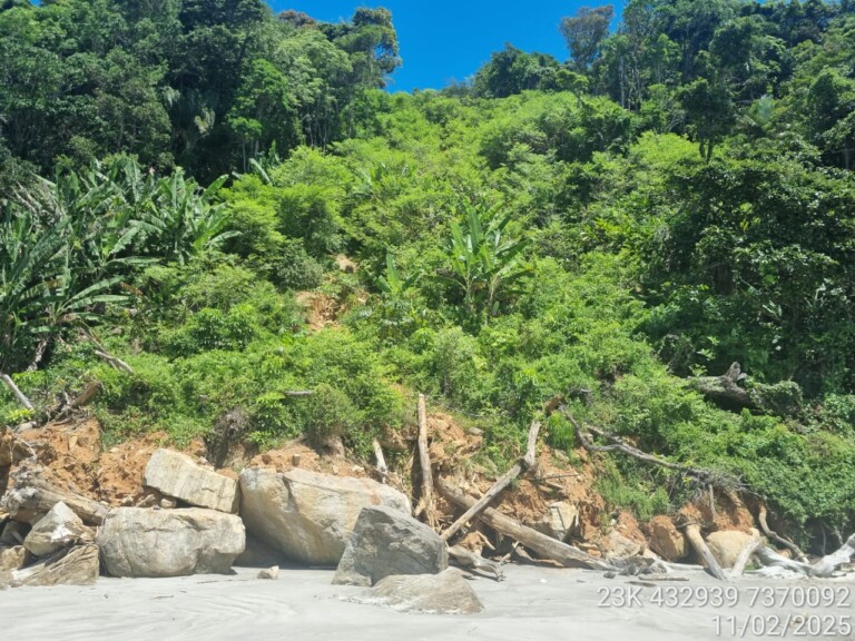 CAMBURI 1 FEVEREIRO 2025