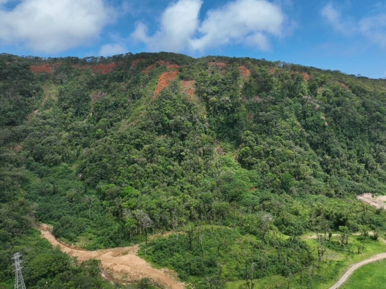 JUQUEHY NOVEMBRO_2025