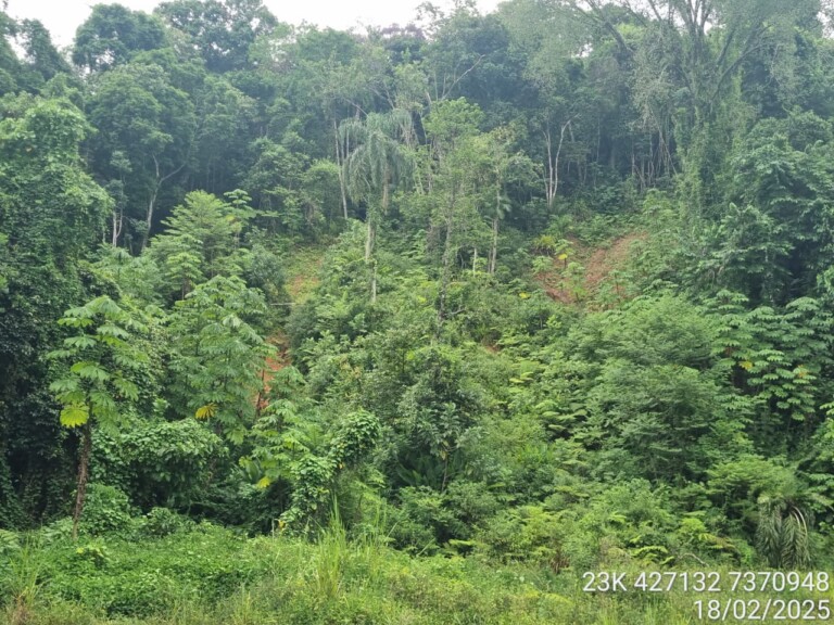 PRAIA PRETA FEVEREIRO 2025