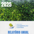 Relatório Anual – 2025